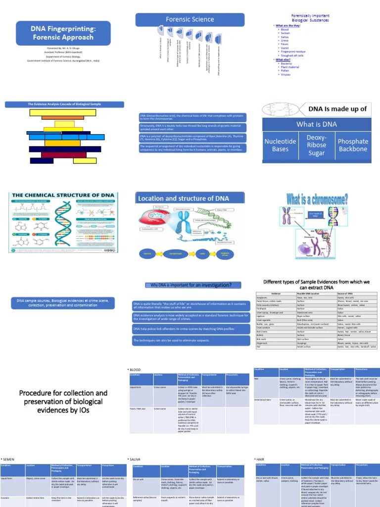 DNA Fingerprinting - Copy | PDF | Dna Profiling | Dna
