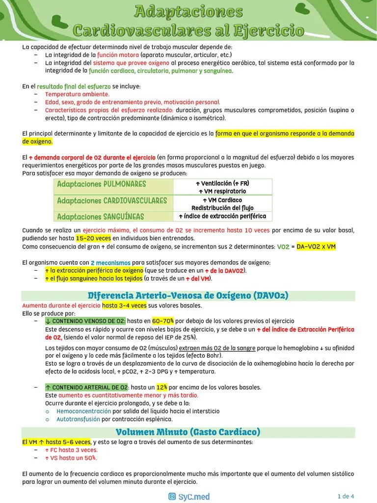 5. Adaptaciones Cardiovasculares Al Ejercicio | PDF | Músculo | Corazón
