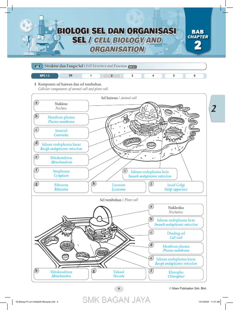 Bio F4 Ch2 Notes Pdf - Dark Photo Collection - Desktop Quality