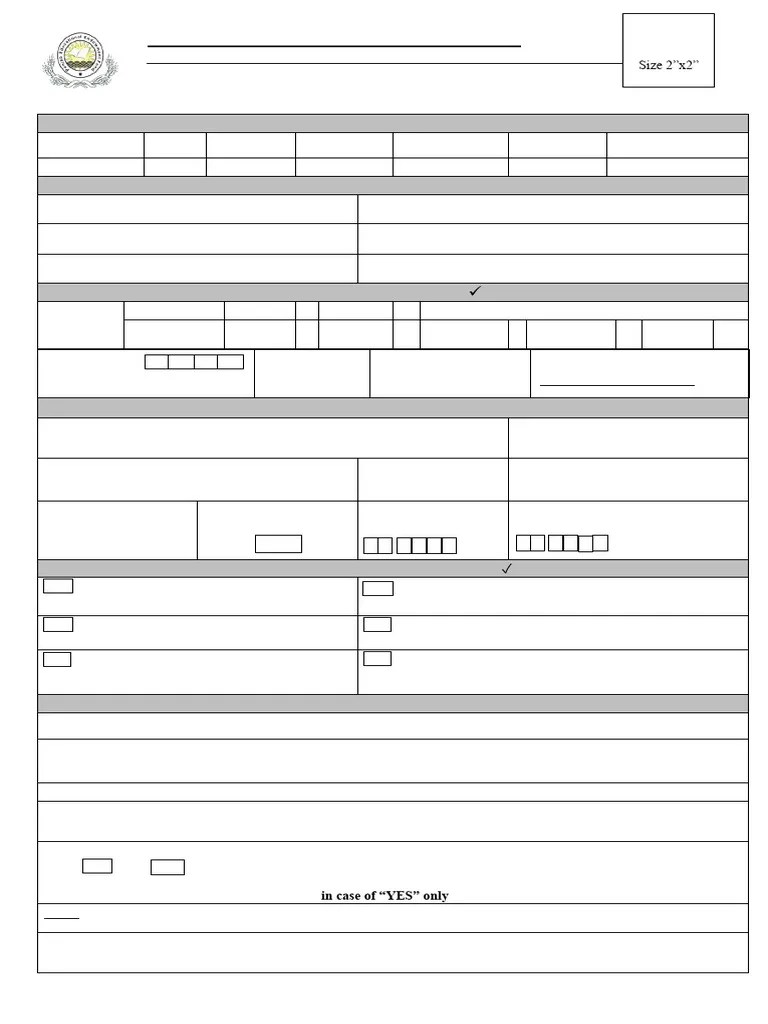 Scholarshipform2024 25OP | PDF