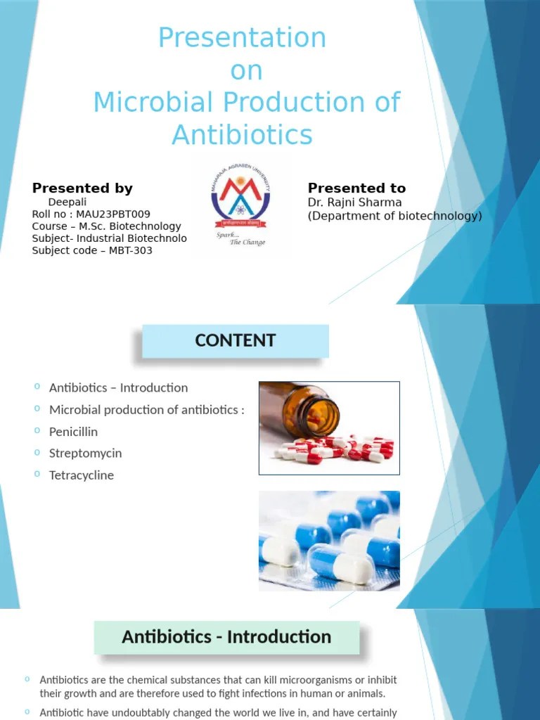 Antibiotic Production Overview Pdf Penicillin Bacteria