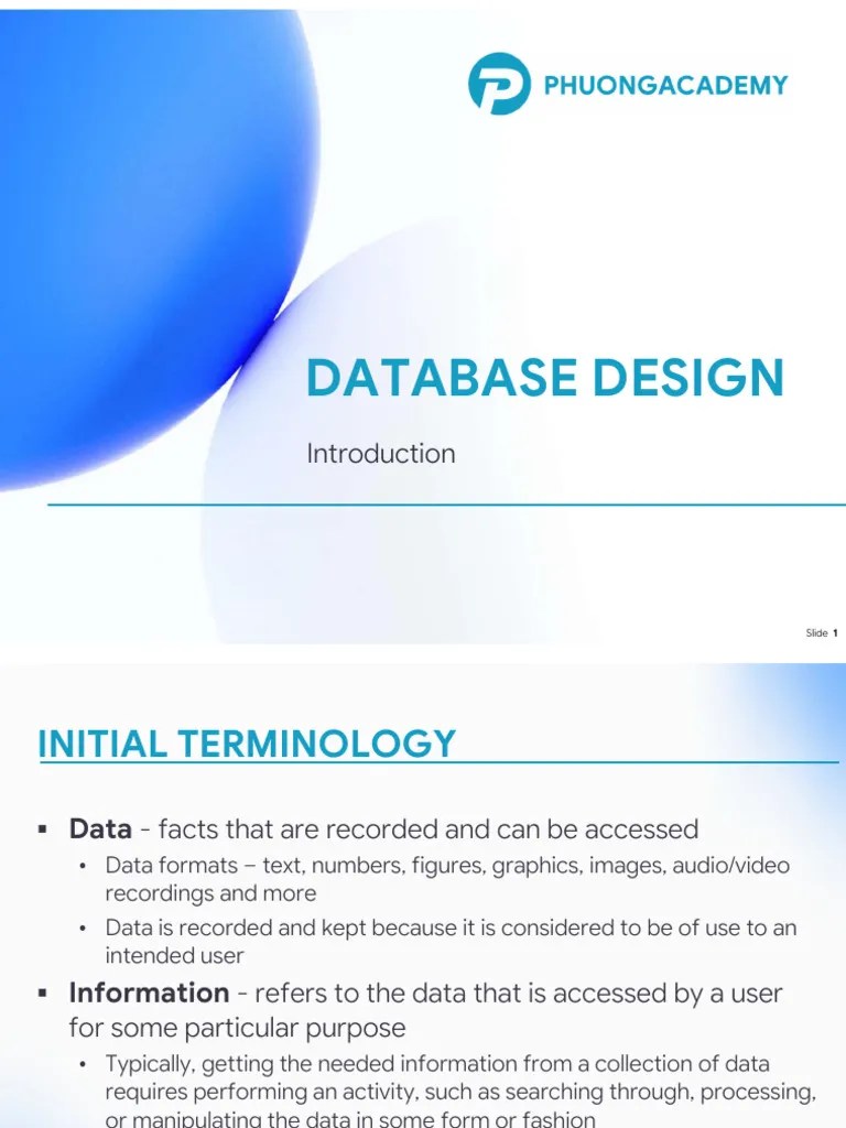 Database Design 1 | PDF | Databases | Metadata