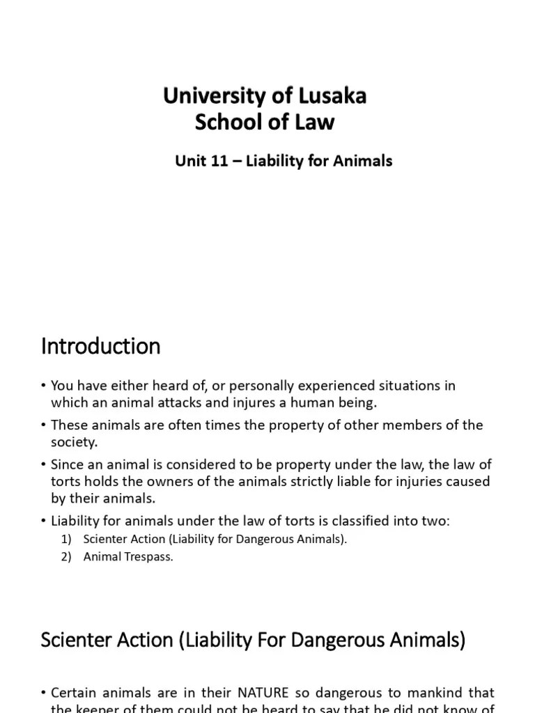 Tort Law | PDF | Legal Liability | Scienter