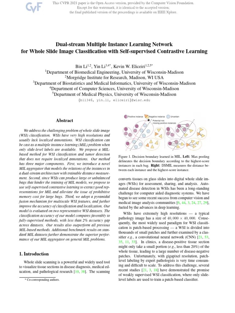 Li Dual-Stream Multiple Instance Learning Network For Whole Slide Image ...