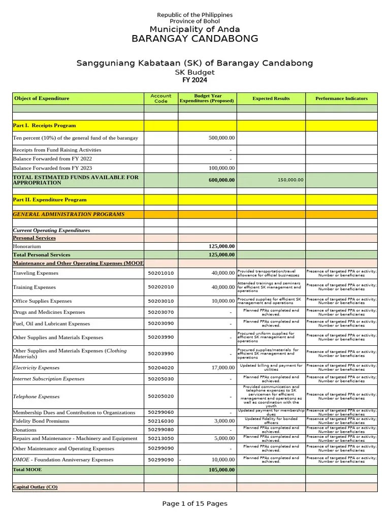 SK Budget 2025 | PDF | Disaster Risk Reduction | Expense