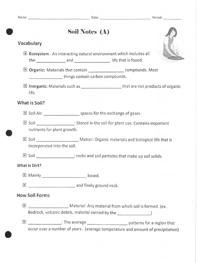 Soil Notes | PDF