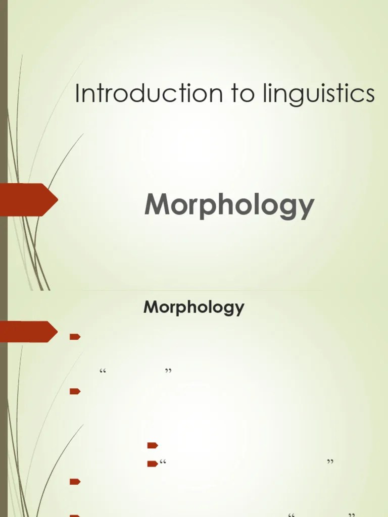 5. Morphology | PDF | Word | Morphology (Linguistics)