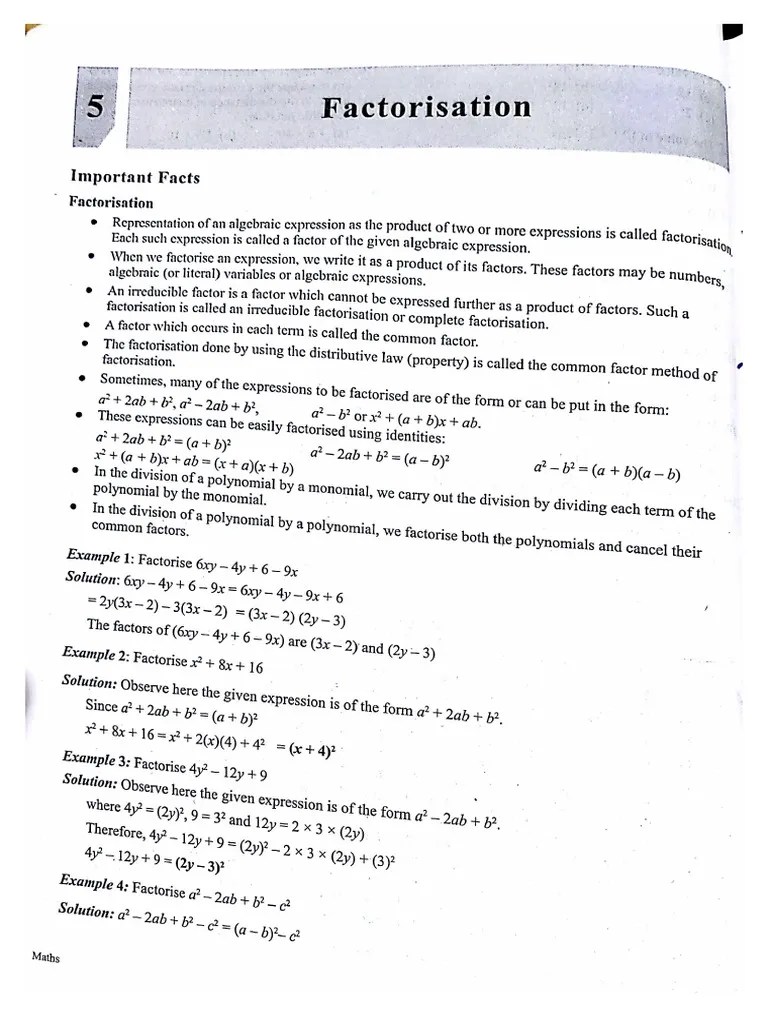Class 10 Factorization Important Questions | PDF