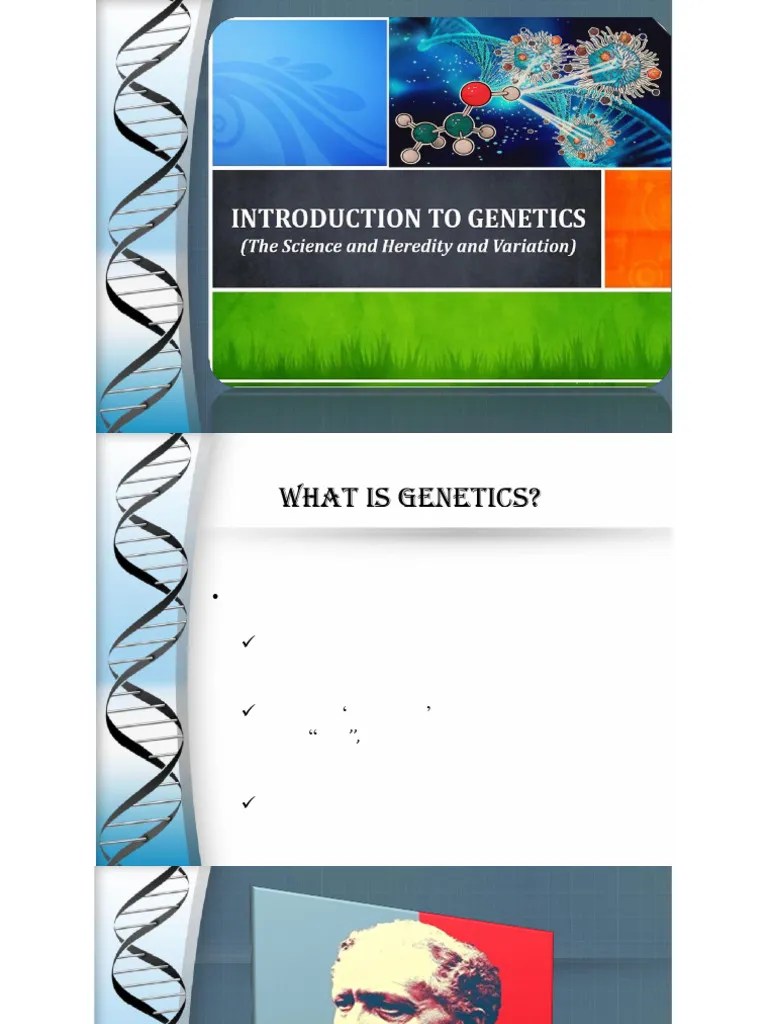Unit 1. Introduction To Genetics | PDF | Heredity | Genetics