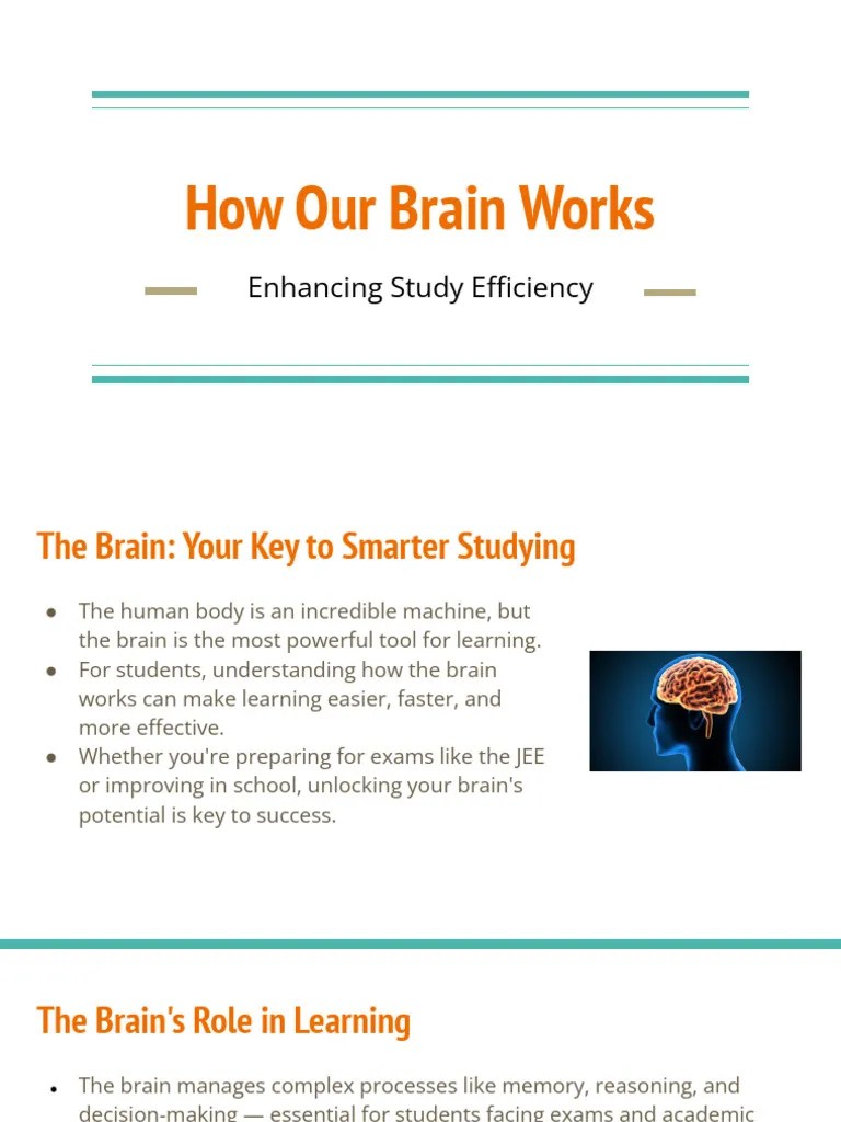 How Our Brain Works | PDF | Memory | Learning