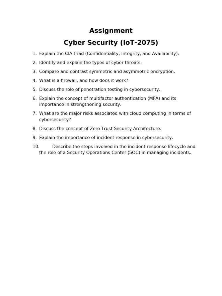 Assignment Cyber Security | PDF | Computers