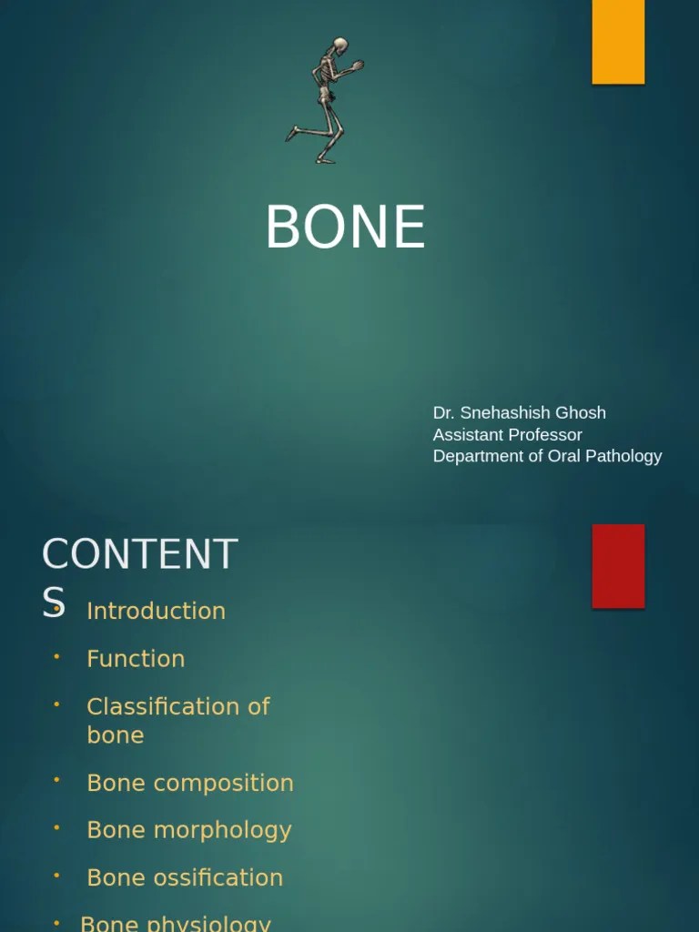 BONE | PDF | Bone | Osteoblast