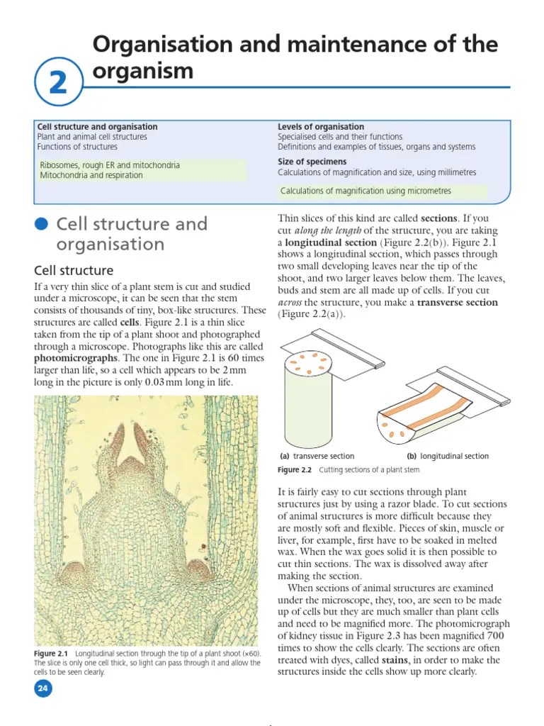 Unit 2 PDF Notes | PDF | Cell (Biology) | Cytoplasm