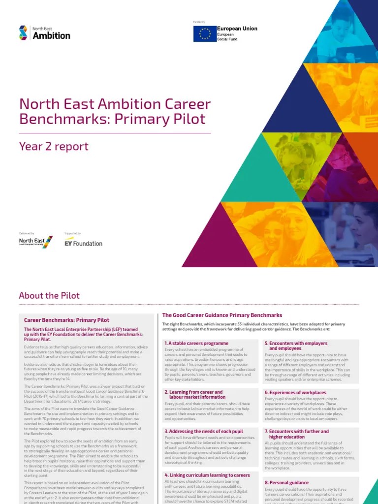 Career Guidance | PDF | Cognition | Learning