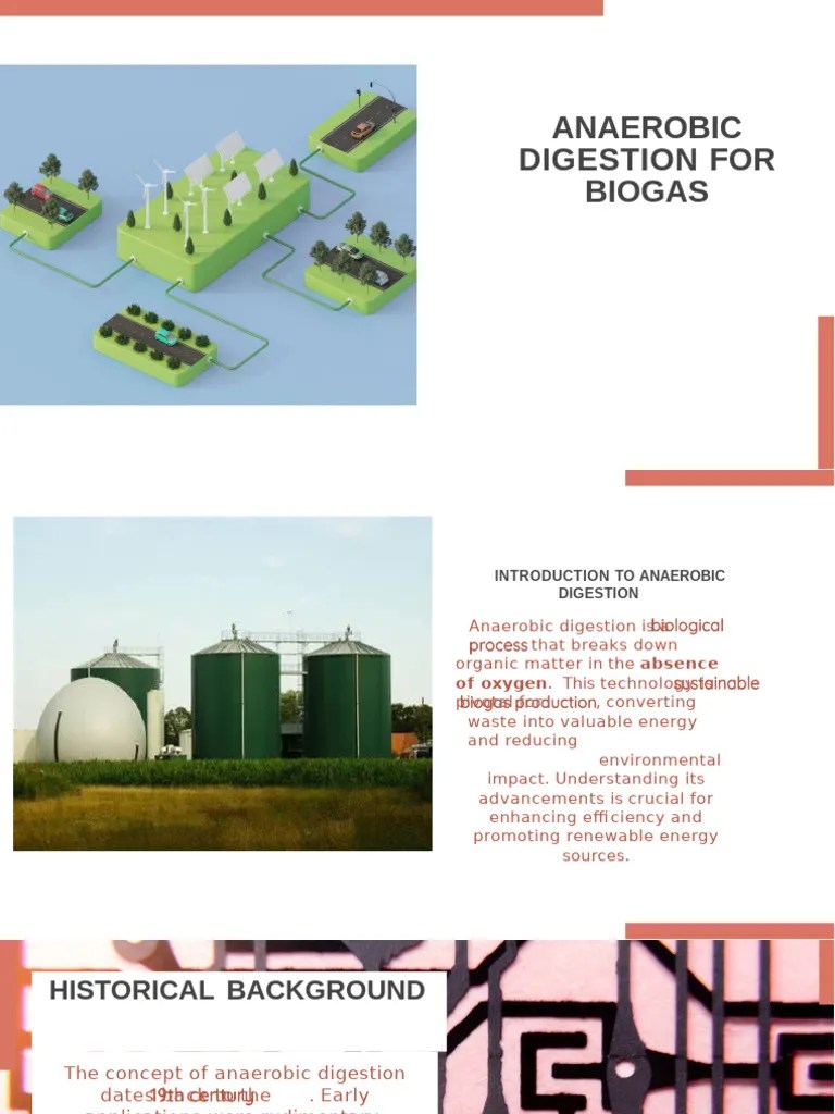 Anaerobic Digestion For Biogas | PDF | Anaerobic Digestion | Biogas