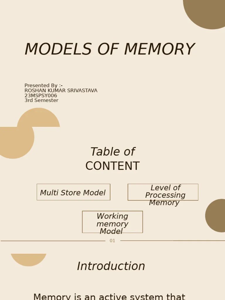 MEMORY | PDF | Memory | Long Term Memory