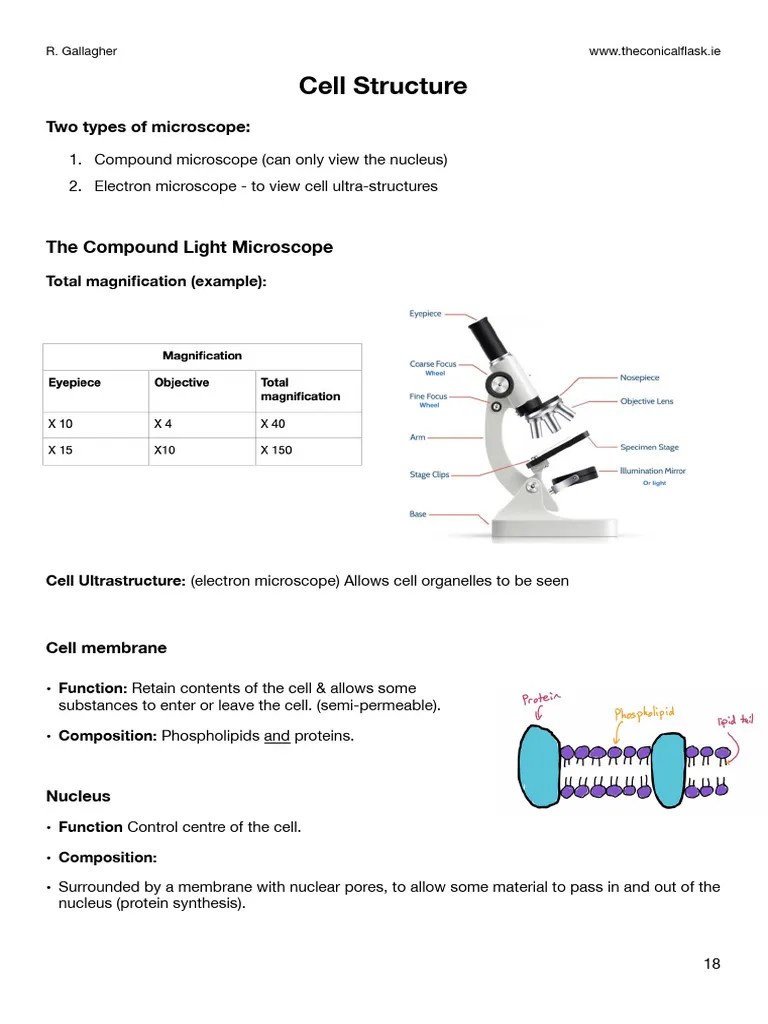 Cell Structure | PDF | Cell (Biology) | Organelle
