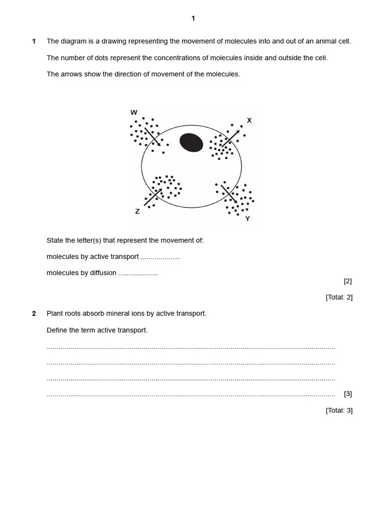 Active Transport | PDF | Osmosis | Diffusion