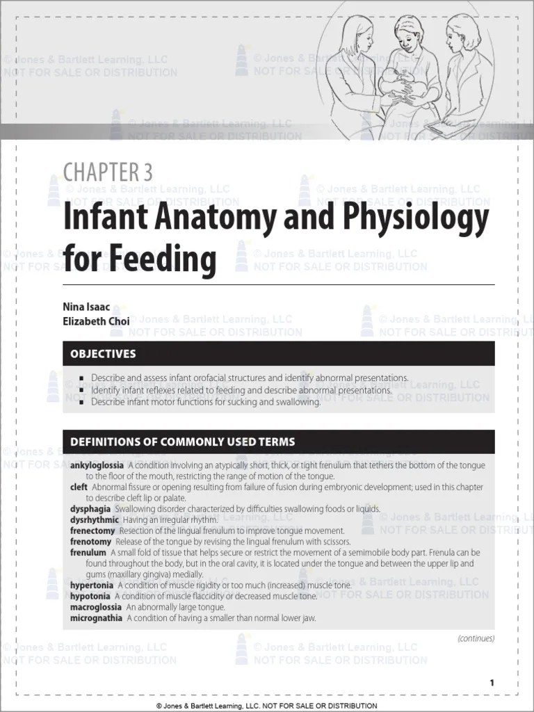 Anatomy And Physiology Feeding | PDF | Breastfeeding | Lip