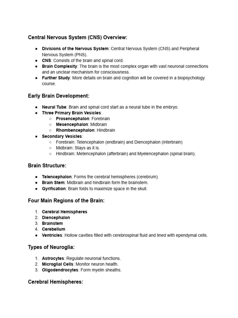 Central Nervous System (CNS) Overview | PDF | Central Nervous System ...
