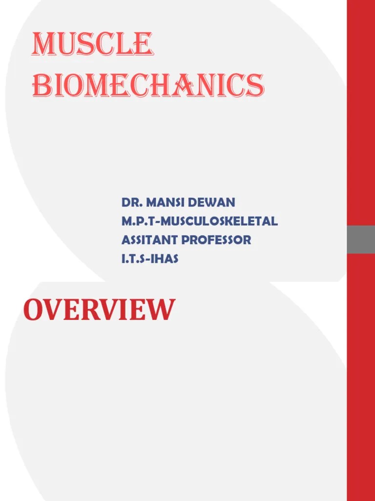 Muscle Biomechanics | PDF | Muscle Contraction | Skeletal Muscle