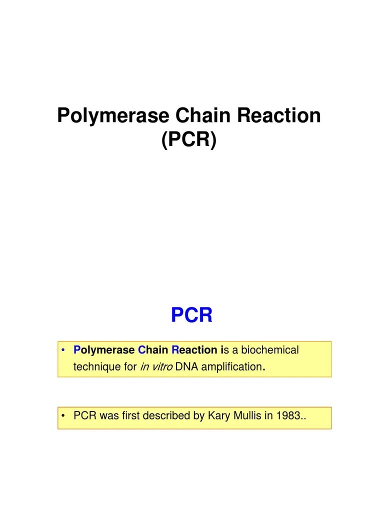Techniques Of Molecular Biology, The Polymerase Chain Reaction (PCR ...