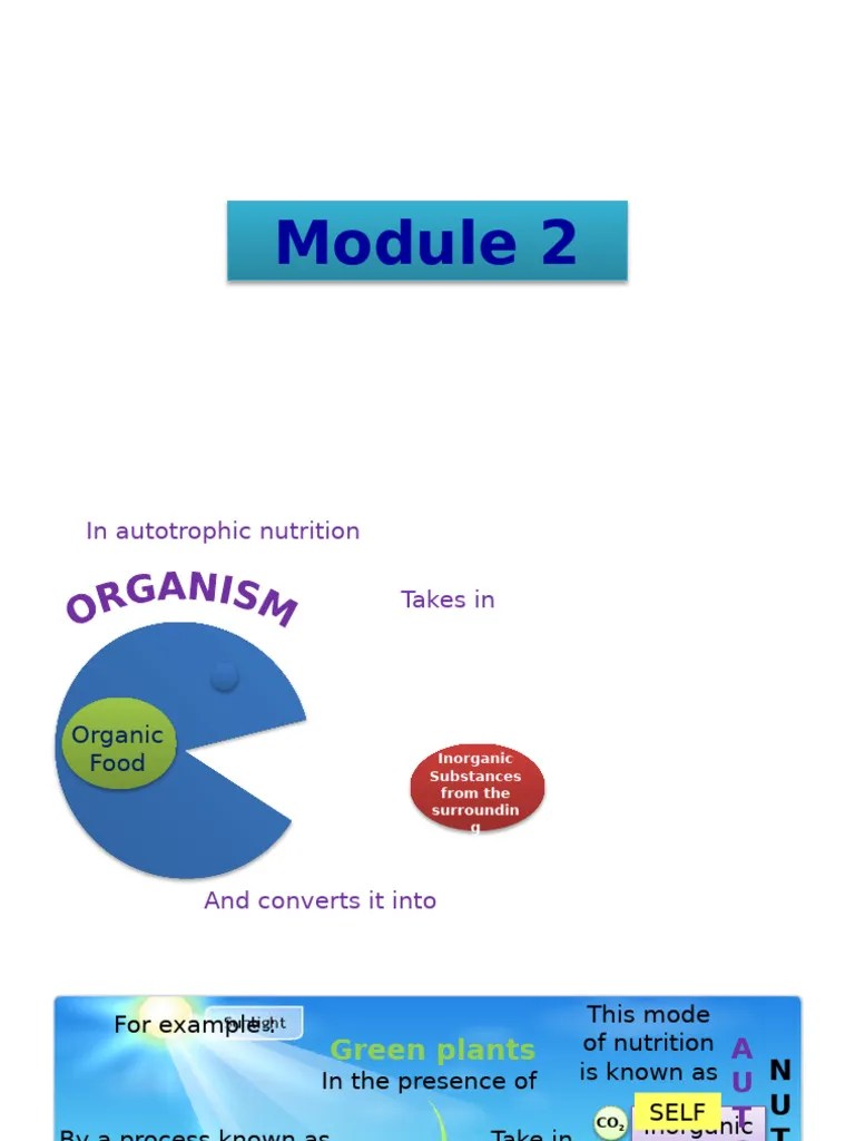 Module 2 | PDF | Nutrition | Diet & Nutrition