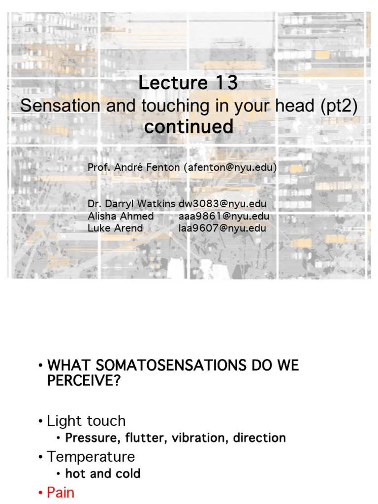 Brain And Behavior-Vision1 | PDF | Retina | Visual Acuity
