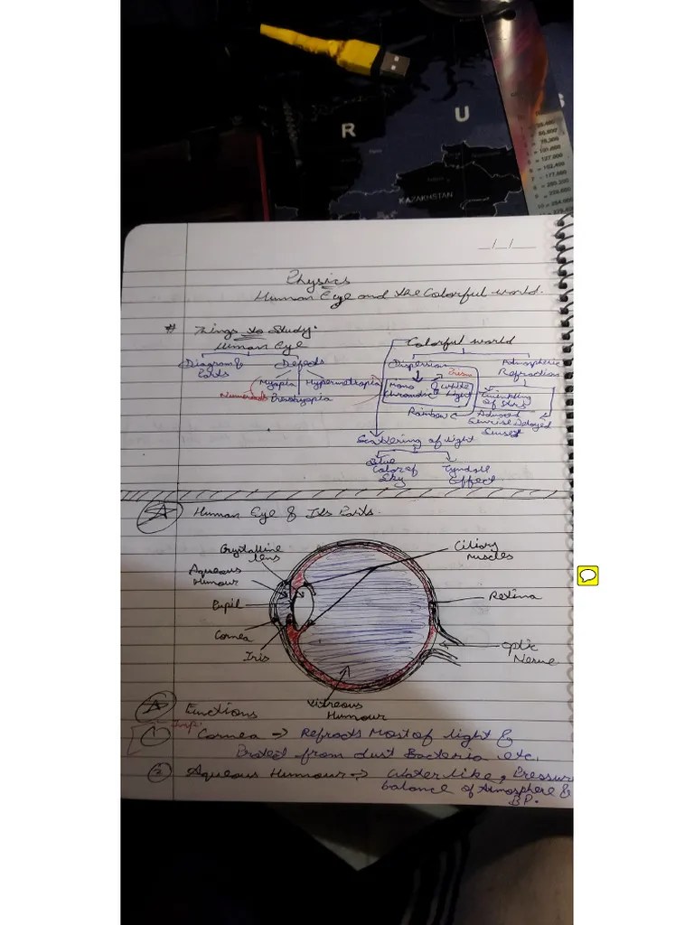 Human Eye Class 10th Notes2 | PDF