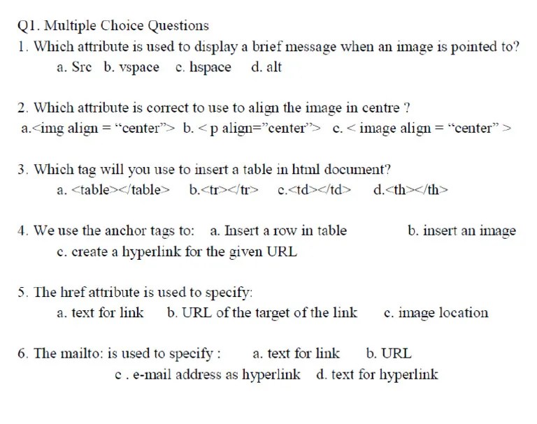 Computer Class 8 Introduction To HTML Assignment 1 | PDF