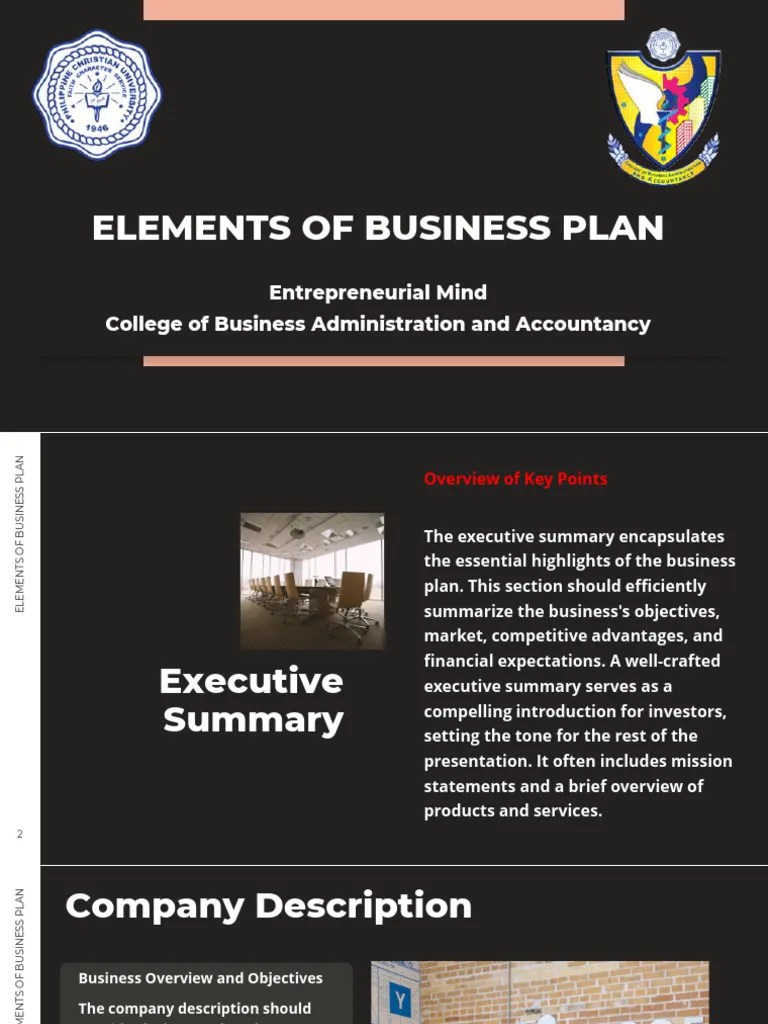 Elements Of Business Plan | PDF | Marketing | Risk