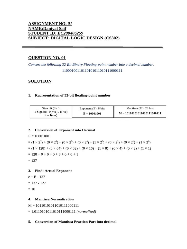 CS302 Assignment 1 Solution | PDF