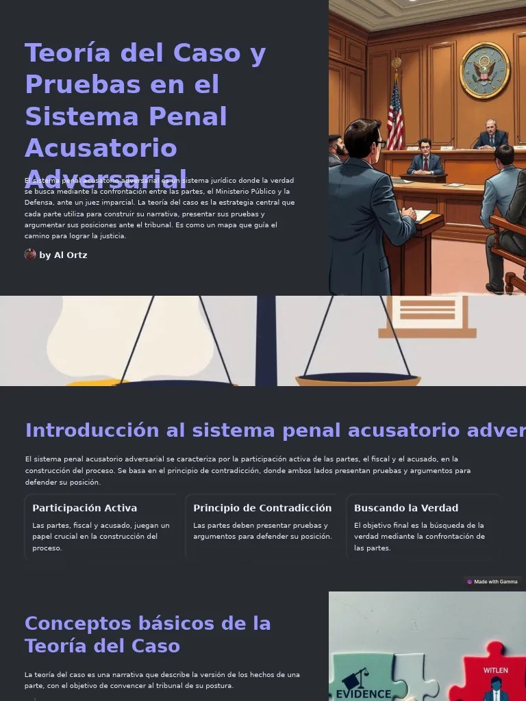 Teoria Del Caso Y Pruebas En El Sistema Penal Acusatorio Adversarial ...
