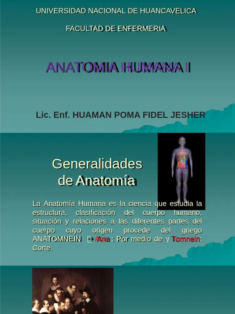 Clase Anatomia 1 Pdf - Amazing Ultra HD Minimal Textures | Free Download