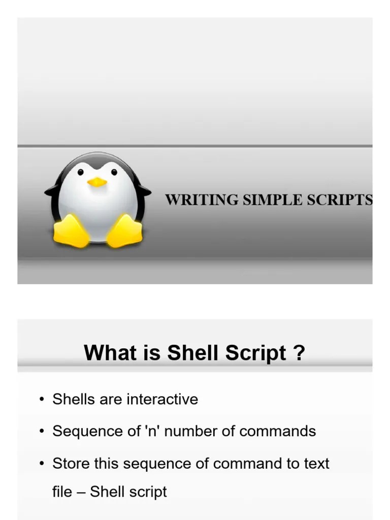 Writing Simple Scripts | PDF | Computer Science | Software Development