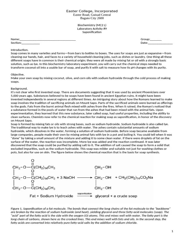 Biochem-Experiment-9 | PDF | Soap | Sodium Hydroxide