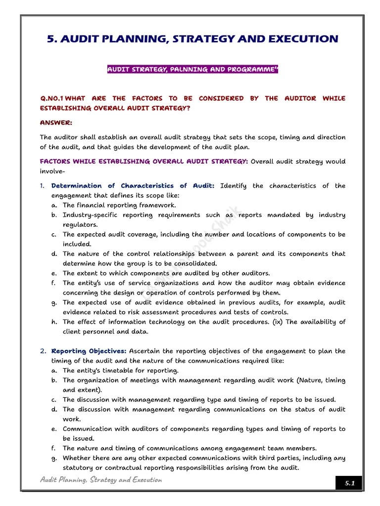 05 Audit Planning, Strategy And Execution | PDF