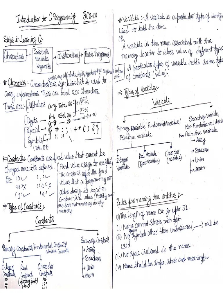 Aman Sir C Programming Notes | PDF