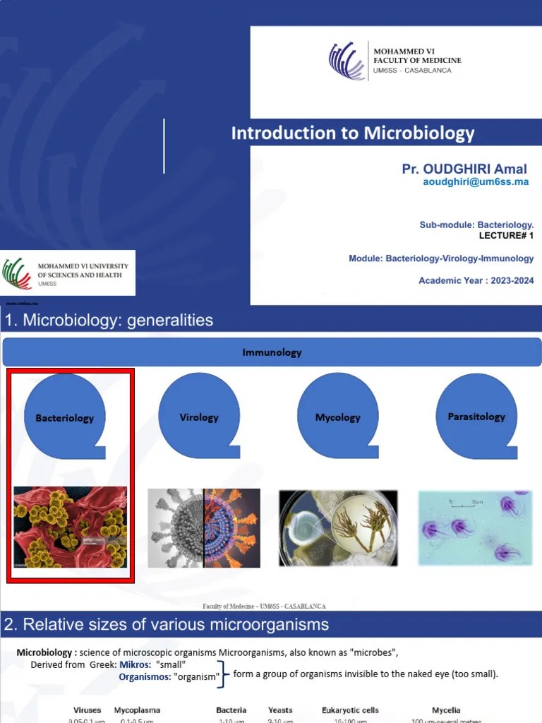 Lecture 1 Bacterial Structure, Nutrition, Metabolism 2 | PDF | Growth ...
