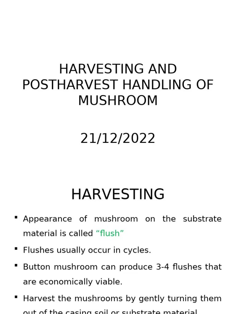 Harvesting, Postharvest Handling, Processing And Packaging | PDF ...