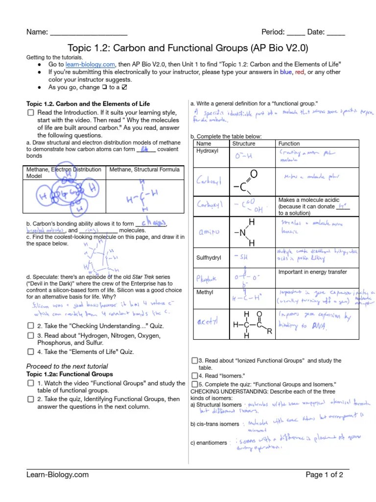 1.1b_Carbon And Functional Groups Student Learning Guide (AP Bio V2.0 ...