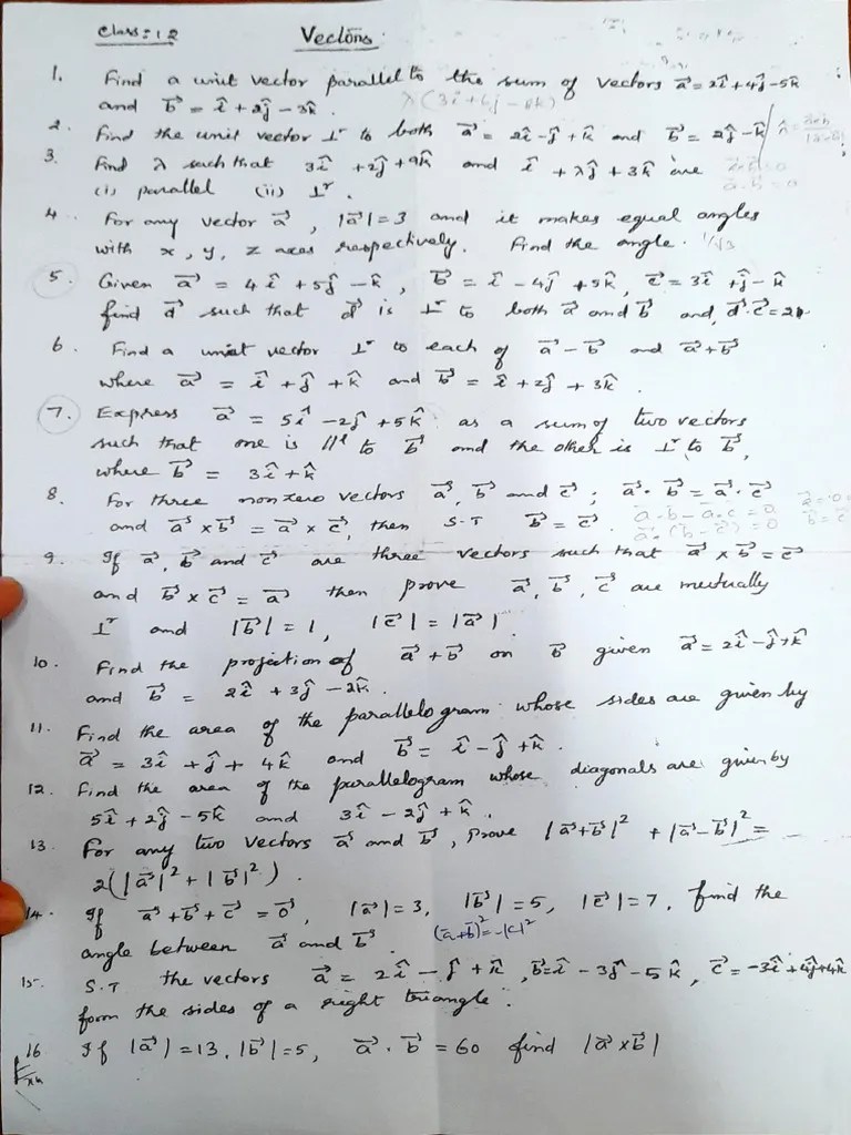 Vectors Assignment | PDF