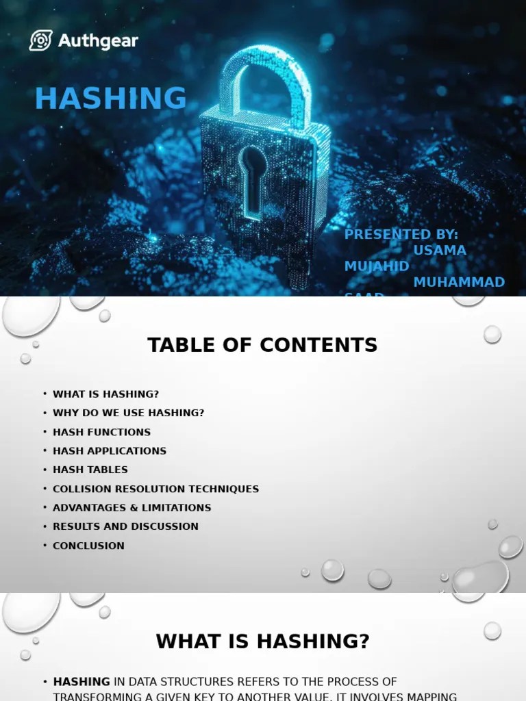 Presentation Dsa | PDF | Computing | Computer Science