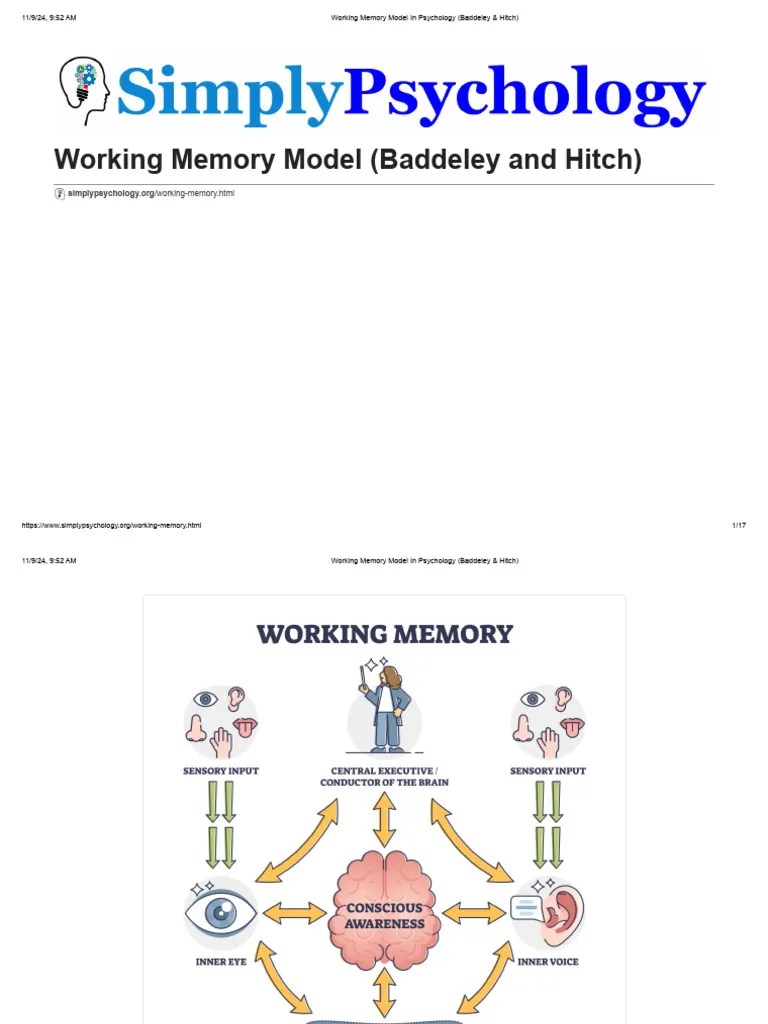 Cognitive Psychology Notes | PDF | Working Memory | Psychological Concepts