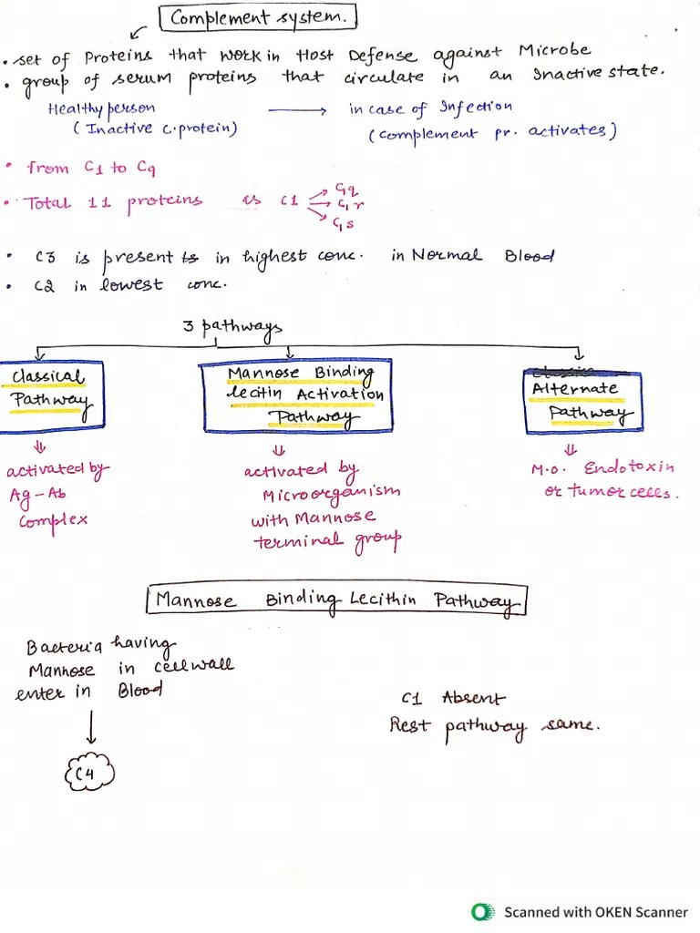 Complement System | PDF