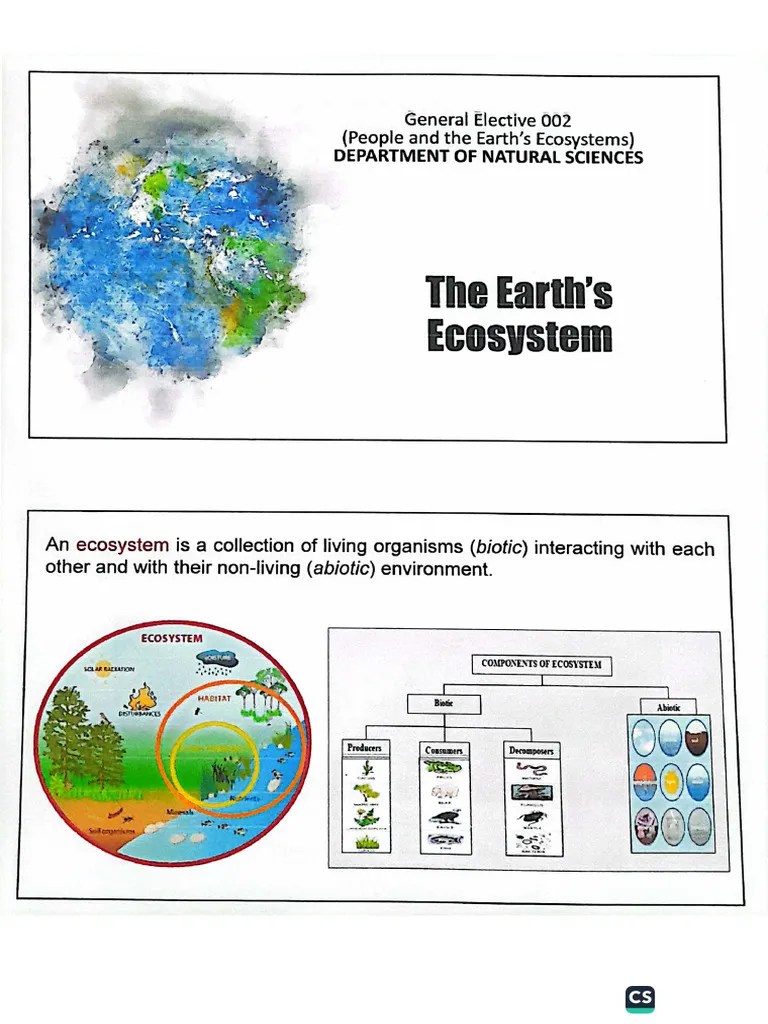 The Earths Ecosystem | PDF
