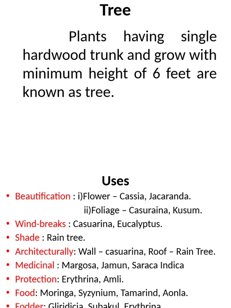 7 - Trees | PDF | Trees | Plants