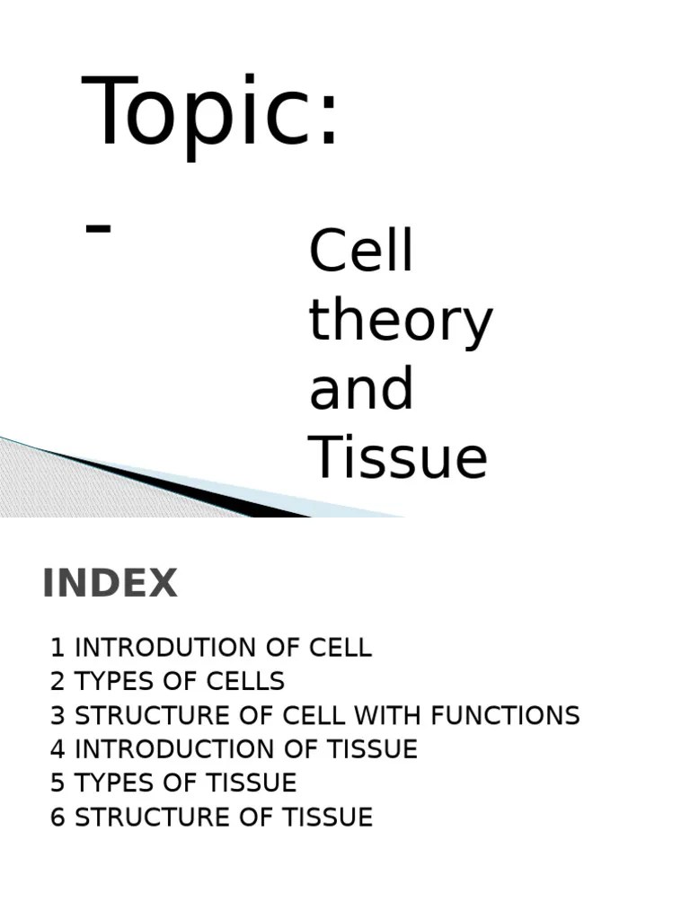 CELL.final | PDF | Endoplasmic Reticulum | Epithelium