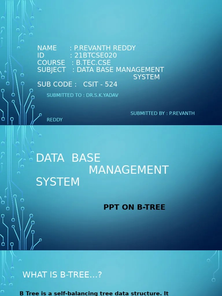 DBMS PPT | PDF | Computing | Algorithms And Data Structures