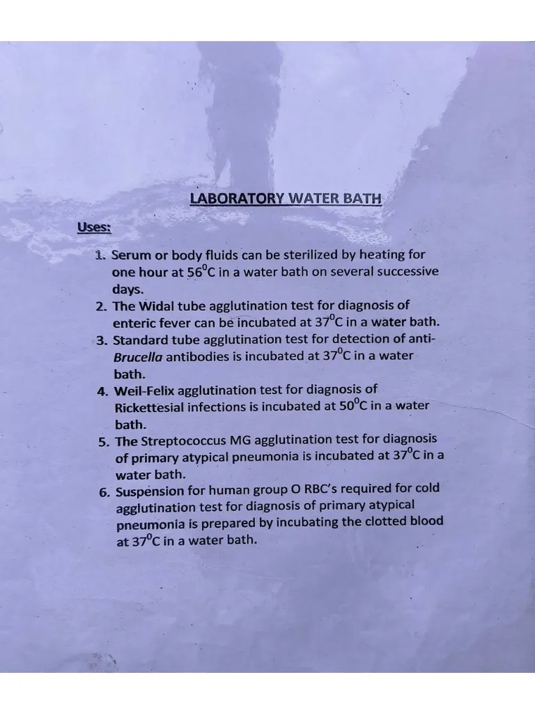 Microbiology Practical Pdf